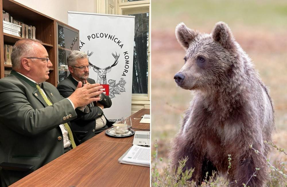 Foto: Situácia s medveďmi je podľa poľovníkov a ochranárov politicky manipulovaná