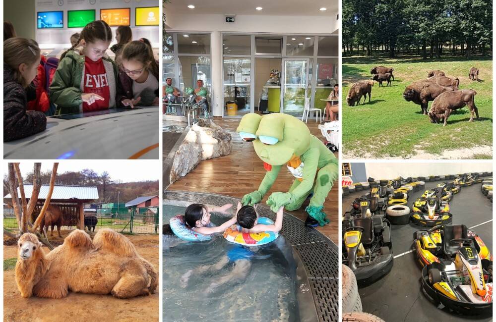 Foto: TOP atrakcie pre deti v Nitrianskom kraji: Mini zoo, vodný svet aj jazda na motorke budúcnosti