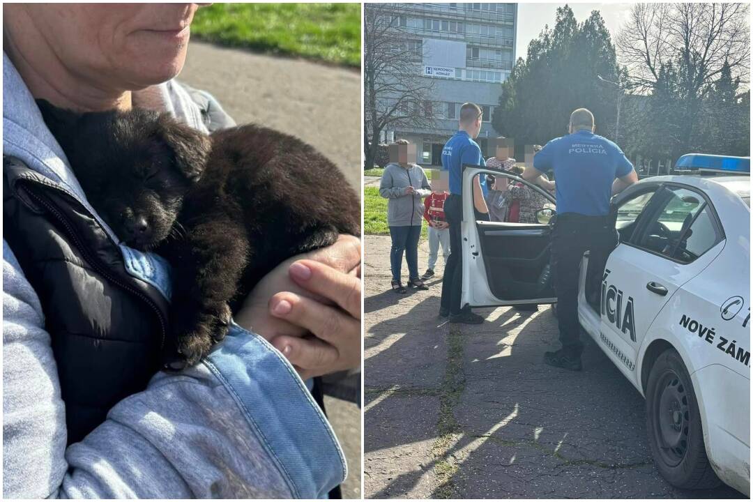 VIDEO+FOTO: Malé šteniatko týrali priamo na ulici, pohadzovali s ním ako s handrou