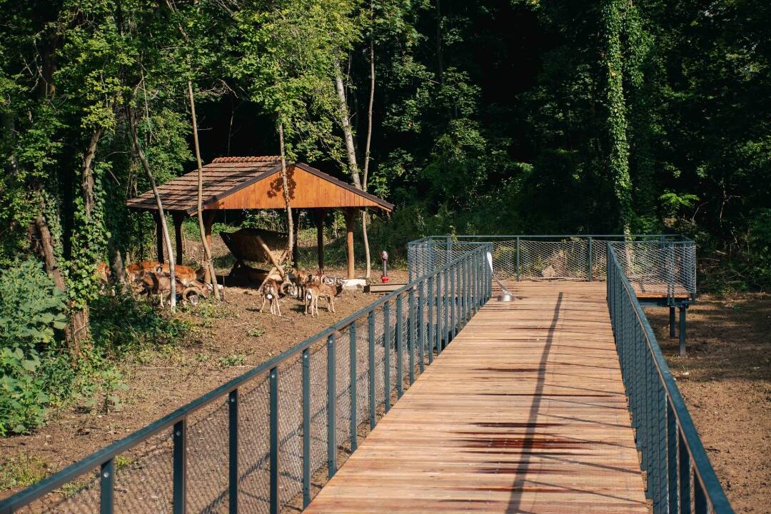 FOTO: Mesto Nitra si zakladá na obnove zelených plôch. Takto premenili tri obľúbené miesta