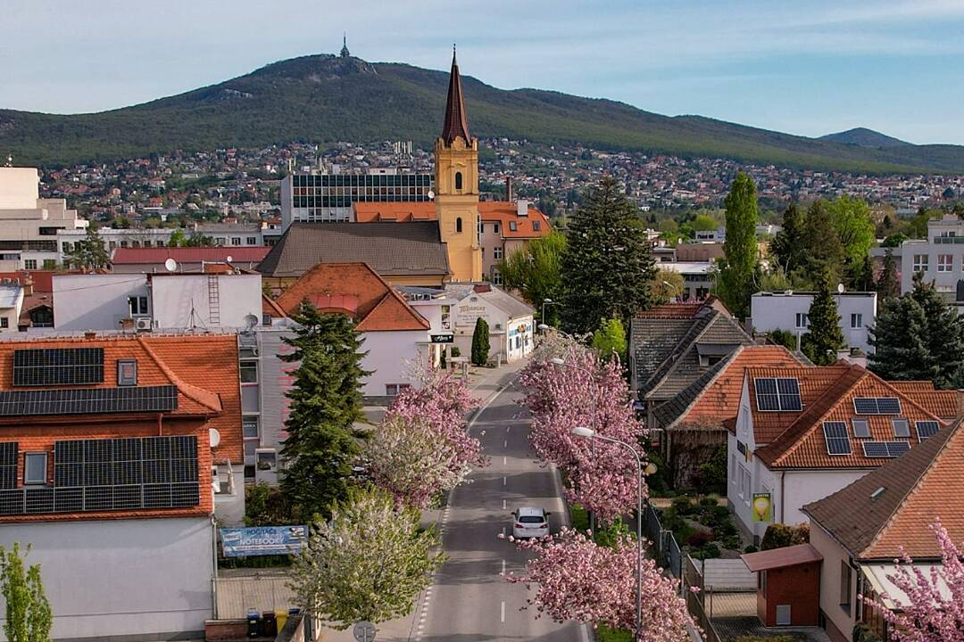 FOTO: Takto vyzerá ikonická alej sakúr v Nitre z výšky. Už onedlho však neostane po kvetoch ani stopy