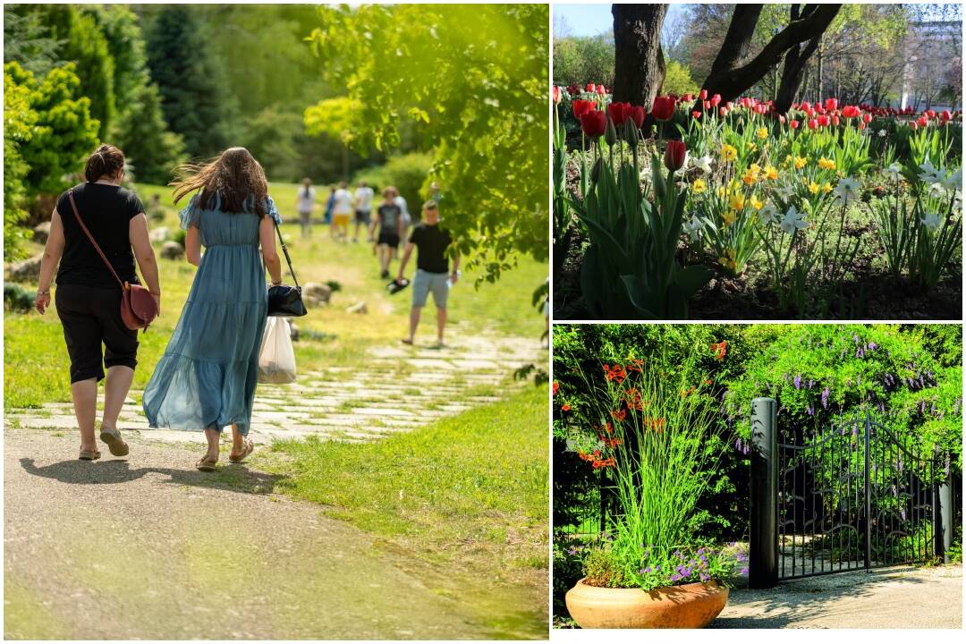 Foto: Botanickú záhradu SPU v Nitre slávnostne otvoria. Na čo sa môžu návštevníci tešiť?