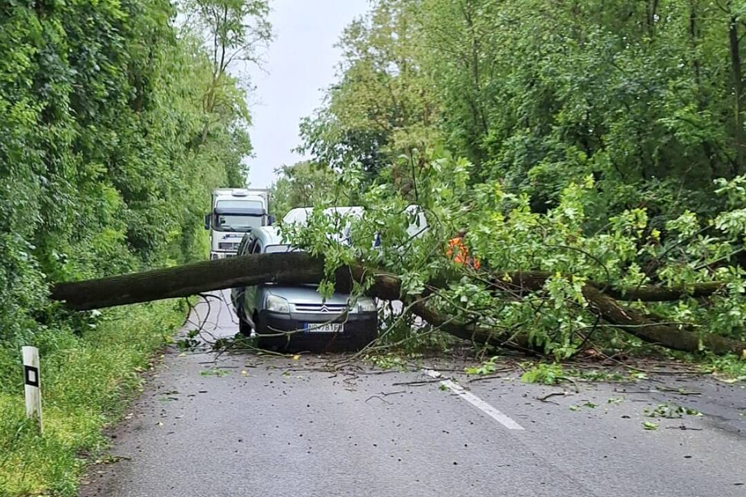 FOTO: Pri Bábe spadol na auto strom, úsek bol nejaký čas neprejazdný 