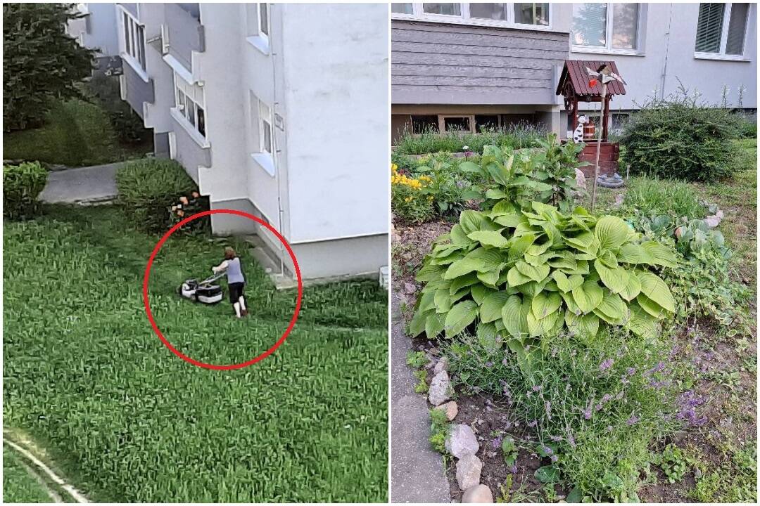 FOTO: Pani Janka z Nitry vyriešila problém s vysokou trávou sama. Vzala kosačku a pochválila sa aj záhradkou