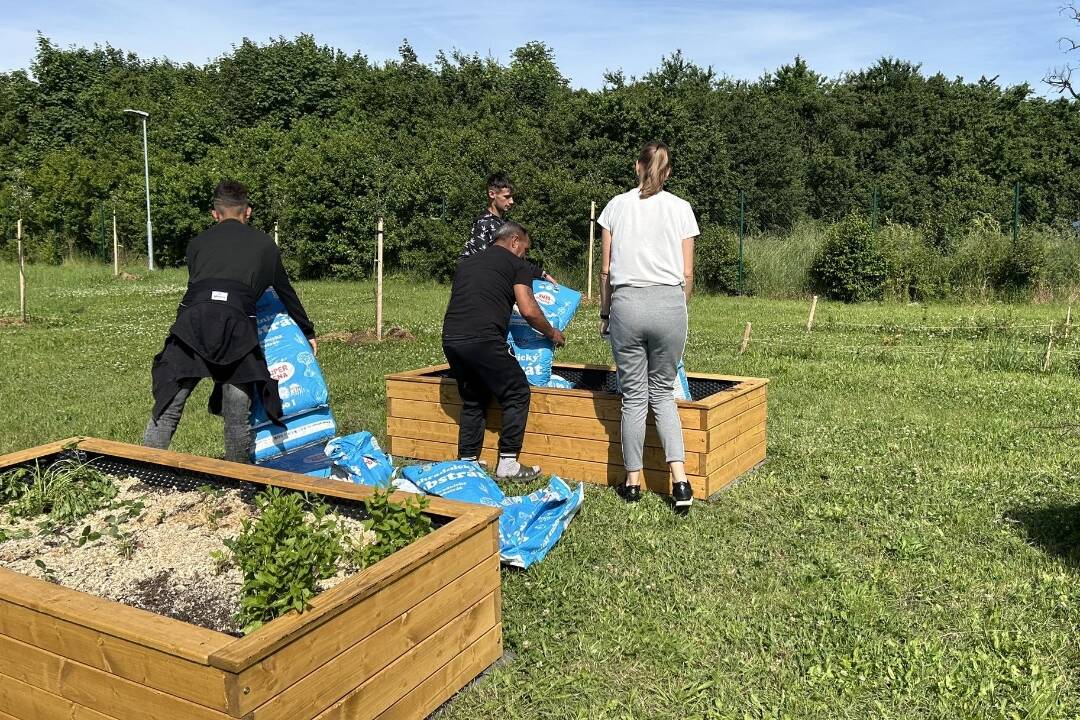 FOTO: Levice vysadili nový sad vďaka grantu, slúžiť bude aj na terapie Komunitného centra