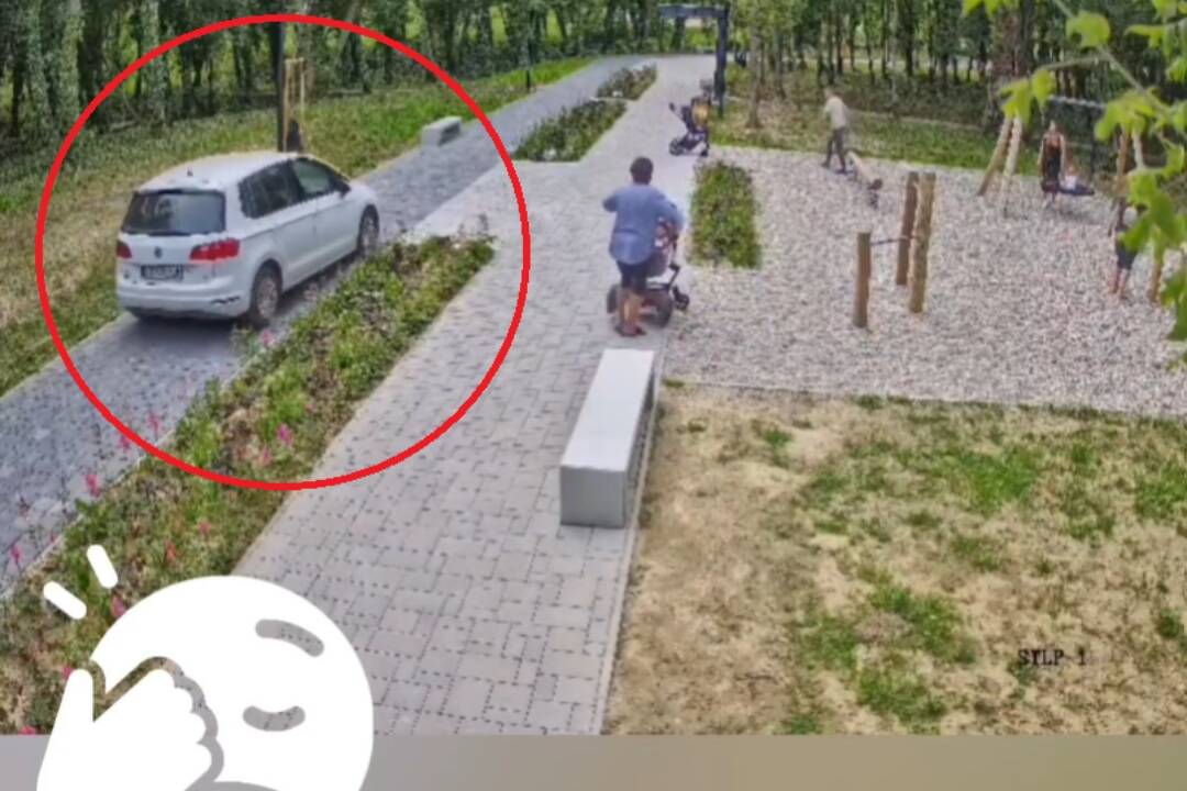 Foto: VIDEO: Drive-thru lesoparkom v Šali? Dvojica si prezrela vynovený park z auta, incident už rieši polícia