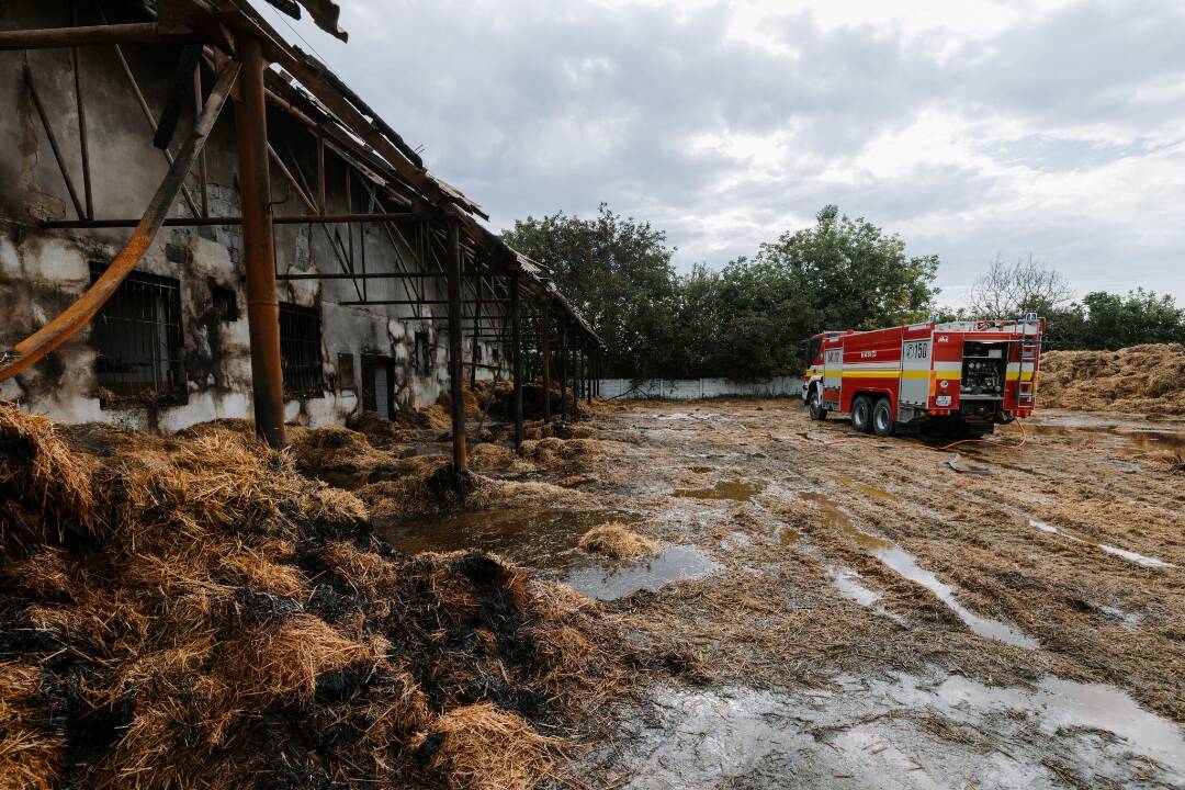 Foto: Zo zhorenej stajne v Šali sa aj týždeň po požiari šíril dym. Po sťažnostiach občanov zasiahlo mesto