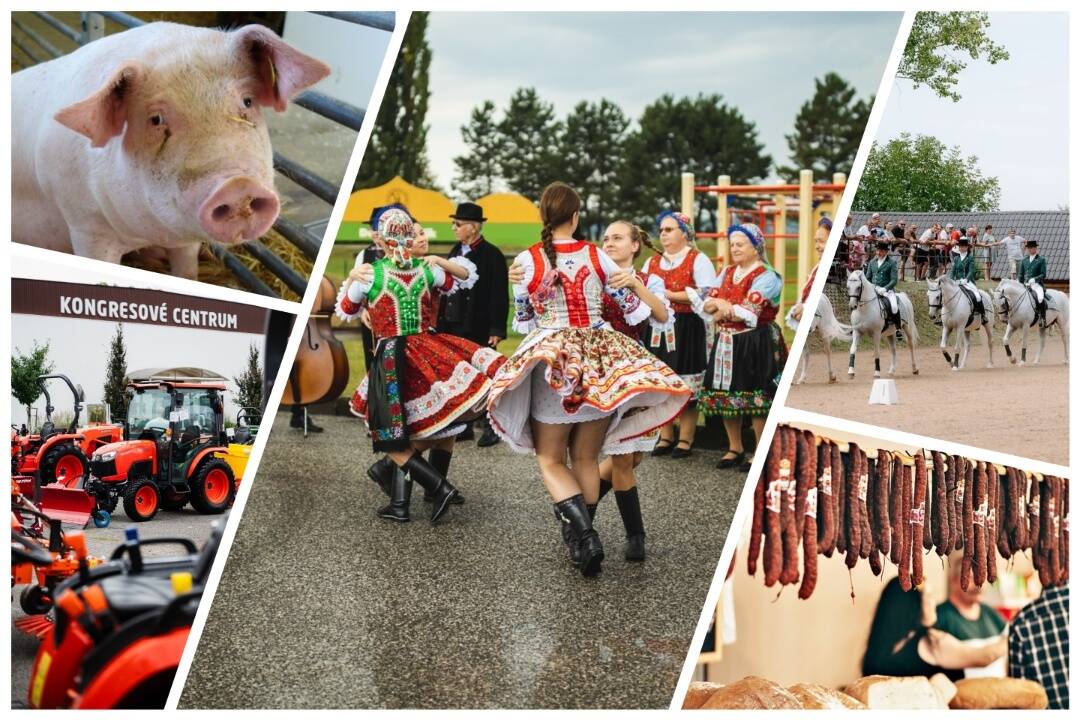 Foto: Nitriansky Agrokomplex čoskoro otvorí svoje brány. Čo vás čaká na 49. ročníku Agroveľtrhu?