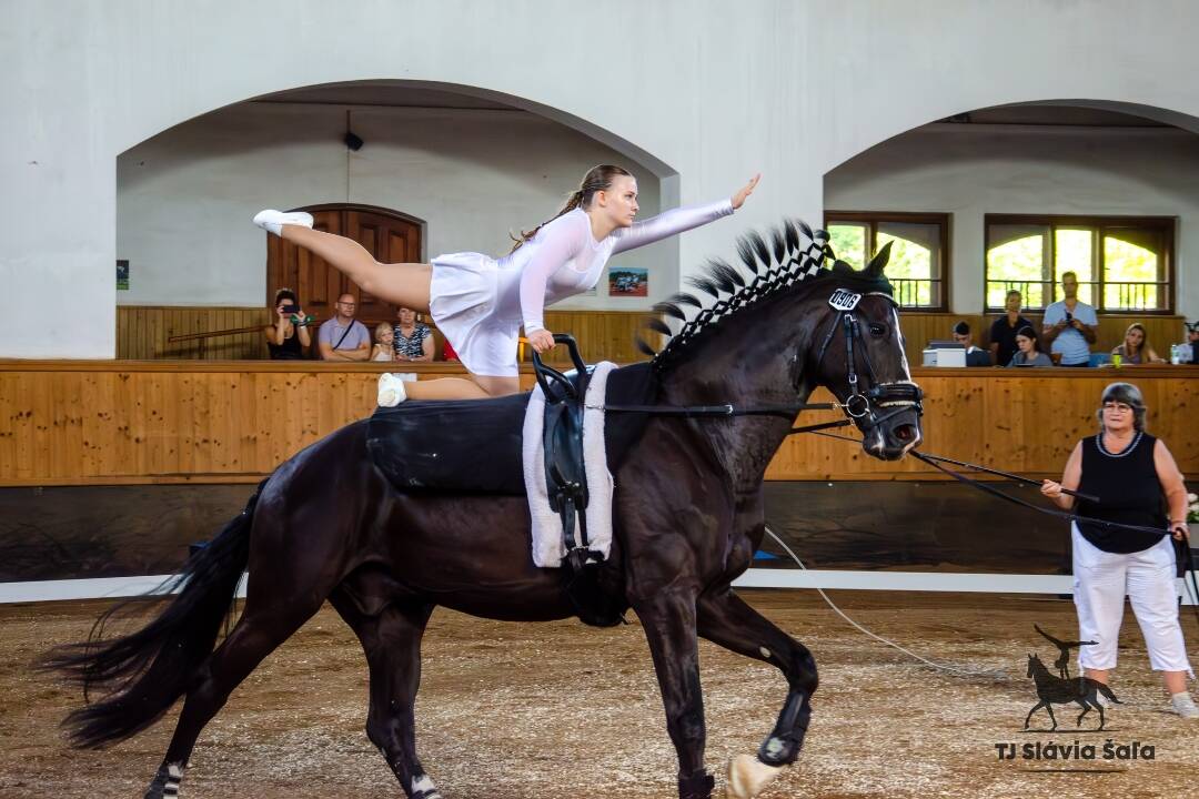 FOTO: Medailová žatva pre šaliansku voltíž. Zažiarili na Slovenskom pohári a majstrovstvách v Topoľčiankach