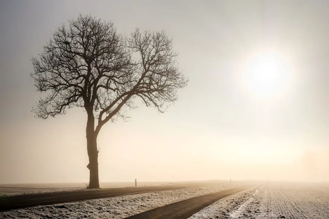 Foto: Nitriansky kraj má pred sebou sychravý deň, všetko zahalila hmla a teploty nevystúpia nad +8 °C