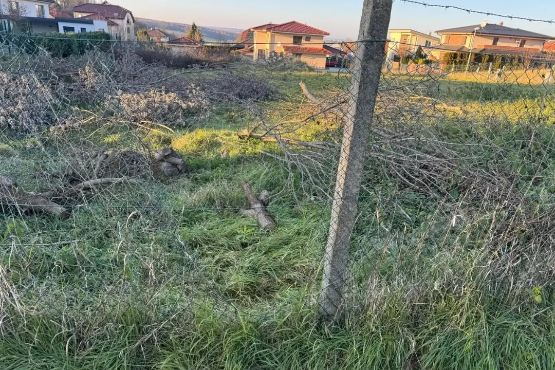 FOTO: Na Prameni v Nitre sa pohybuje zlodej. Rozrezal plot a ukradol drevené pne, tvárnicu už odniesť nevládal