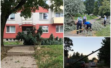 FOTO: V Nitre odstraňovali škody po búrke, vstup do jedného paneláka však stále blokuje spadnutý strom