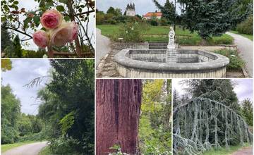 FOTO: Arborétum SAV Mlyňany – park z 19. storočia skrýva najväčšiu zbierku stromov z celého sveta na Slovensku