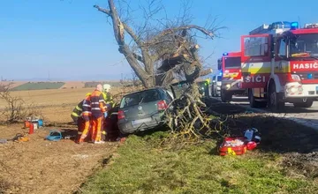 FOTO: Pri Topoľčanoch došlo k tragédii. Mladý vodič neprežil náraz do stromu 