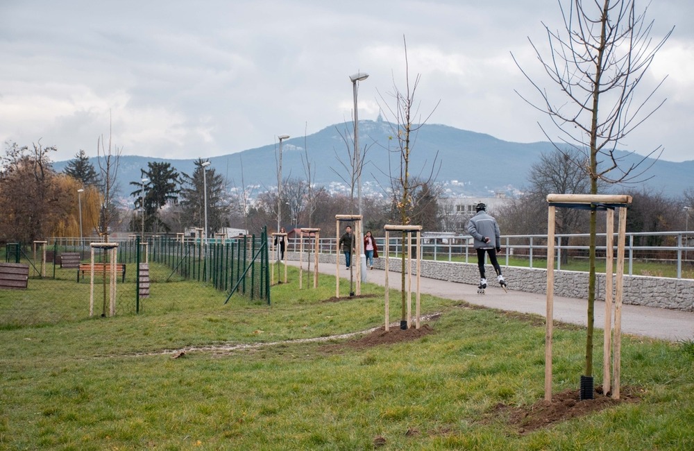 FOTO: Výbehy pre psov v Nitre, foto 3