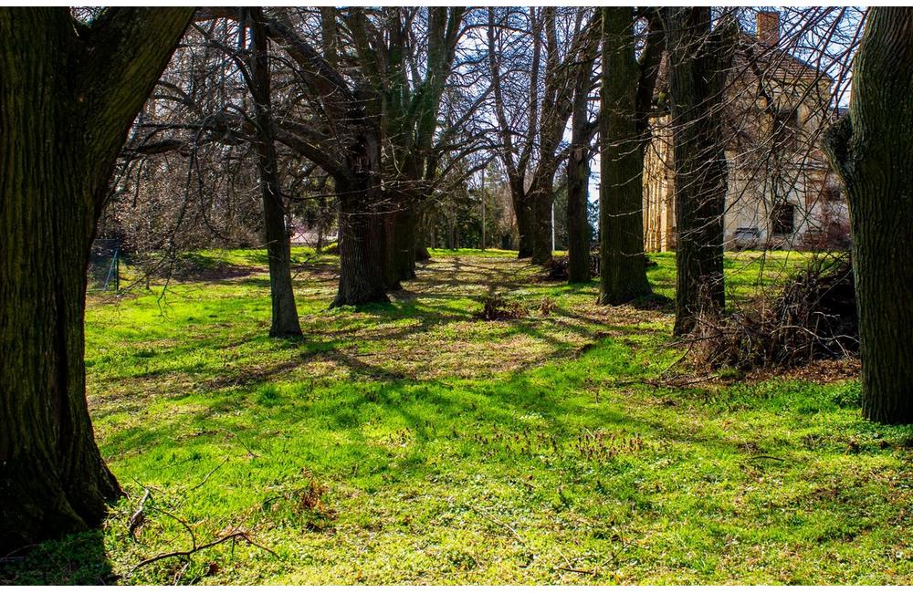 FOTO: Kaštieľ na predaj v Hruboňove, foto 10