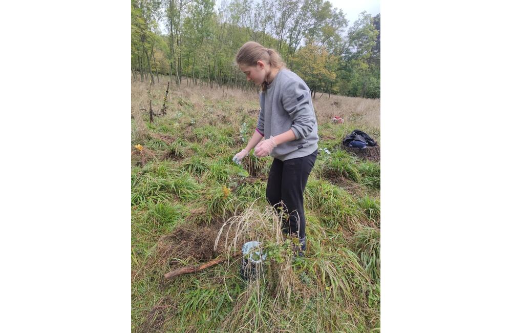 FOTO: Výsadba dubov v Pohorí Tribeč, foto 3