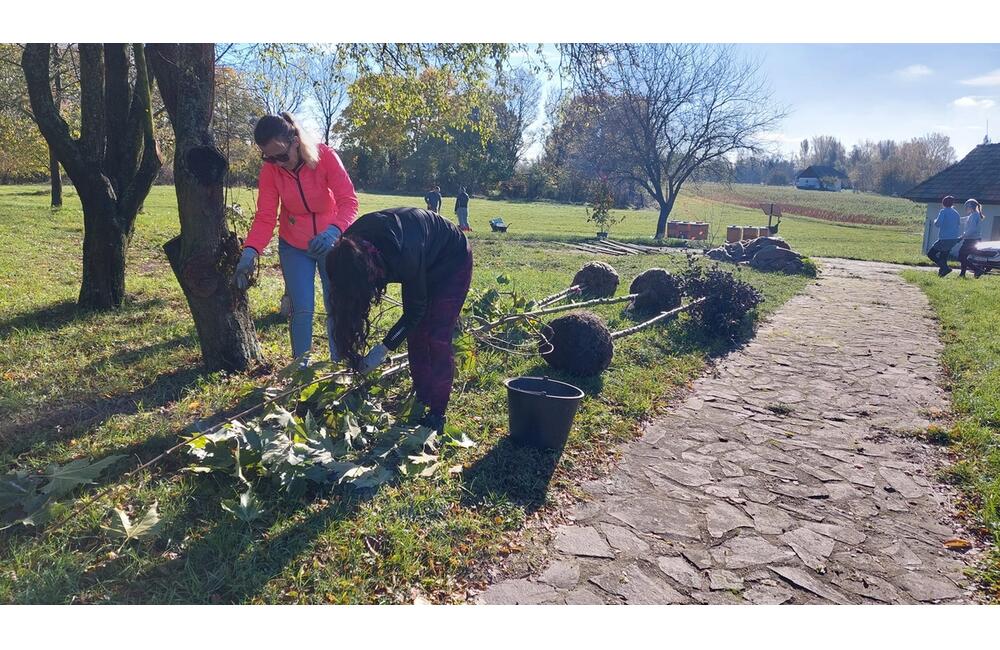 FOTO: Výsadba v areáli Včelárskeho skanzenu, foto 8