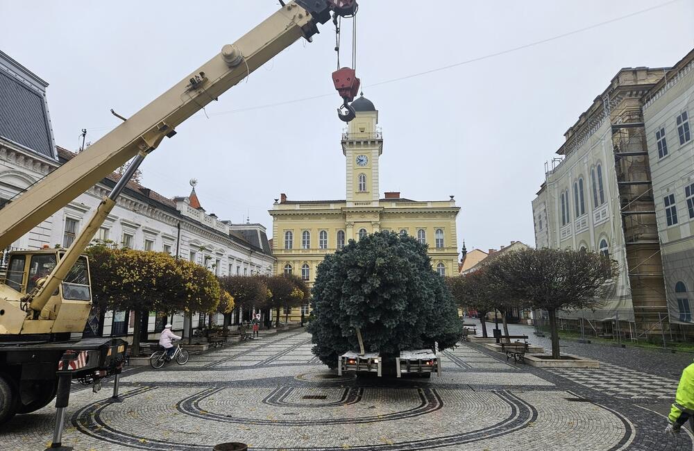 FOTO: Vianočný strom v Komárne, foto 4