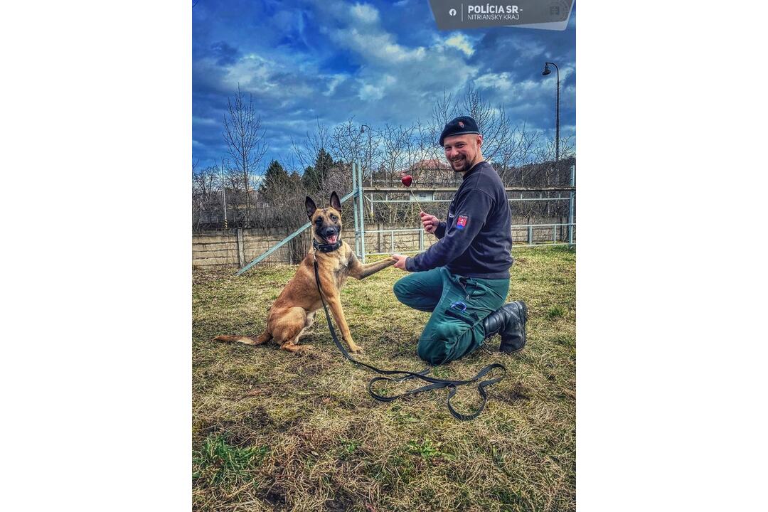 FOTO: Nitrianski strážci zákona oslavujú Valentín aj so štvornohými pomocníkmi, foto 1