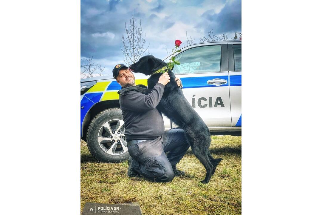 FOTO: Nitrianski strážci zákona oslavujú Valentín aj so štvornohými pomocníkmi, foto 2