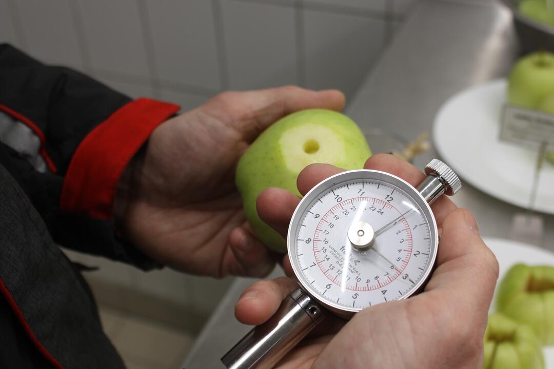 FOTO: Odkiaľ prichádzajú vaše potraviny? Navštívili sme centrálny sklad Kauflandu, foto 1