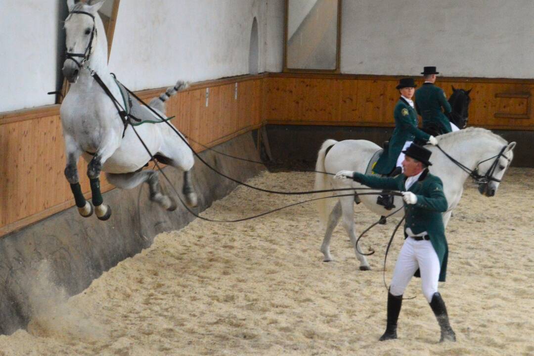 FOTO: Prezidentka Čaputová zavítala počas rozlúčkovej návštevy do Vrábeľ, Klasova a Topoľčianok, foto 13