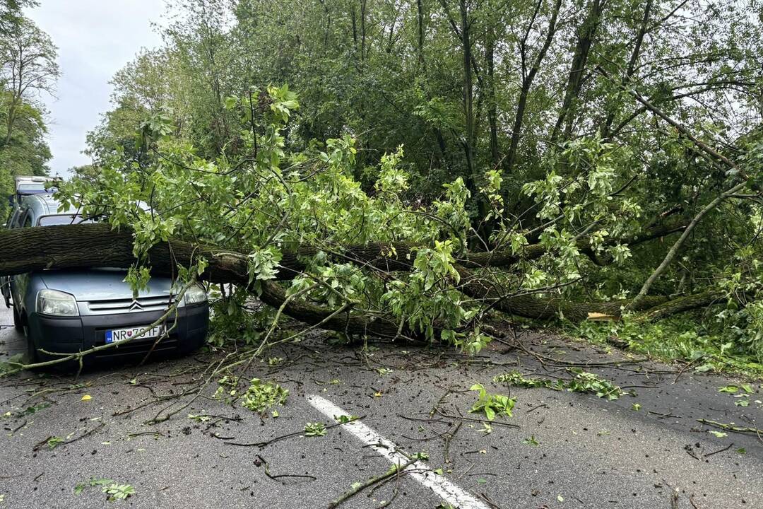 FOTO: Pri obci Báb spadol na cestu strom, trafil aj auto, foto 2