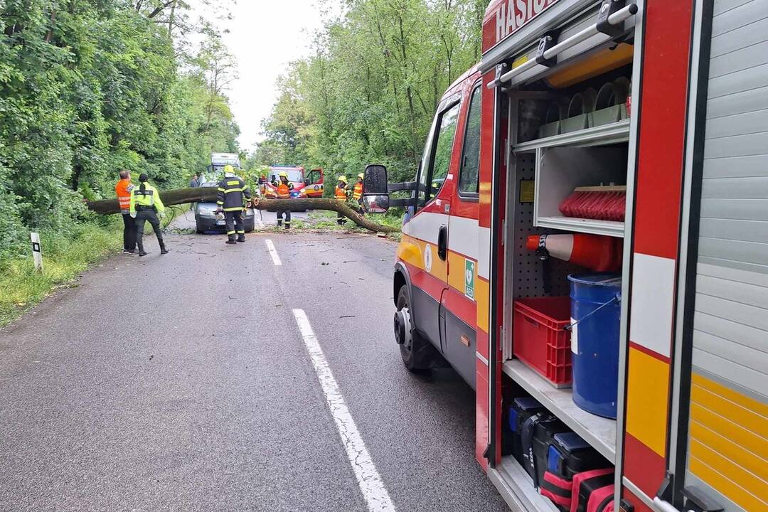 FOTO: Dobrovoľní hasiči z obce Báb zasahovali pri vozidle, na ktoré spadol strom, foto 2