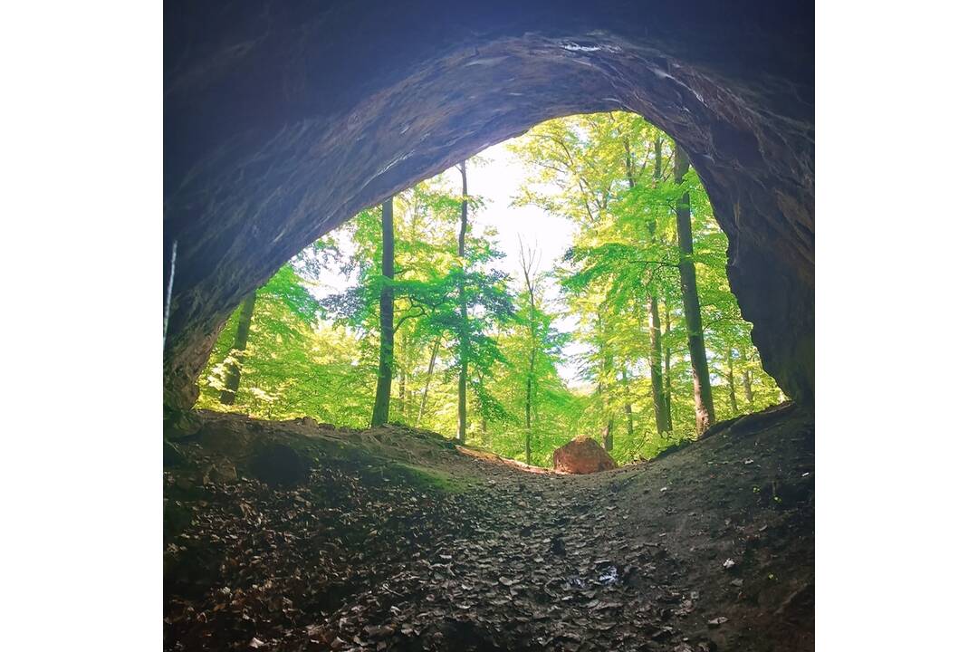 FOTO: Výlet na Topoľčiansky hrad a do Jaskyňe Opálená skala, foto 2