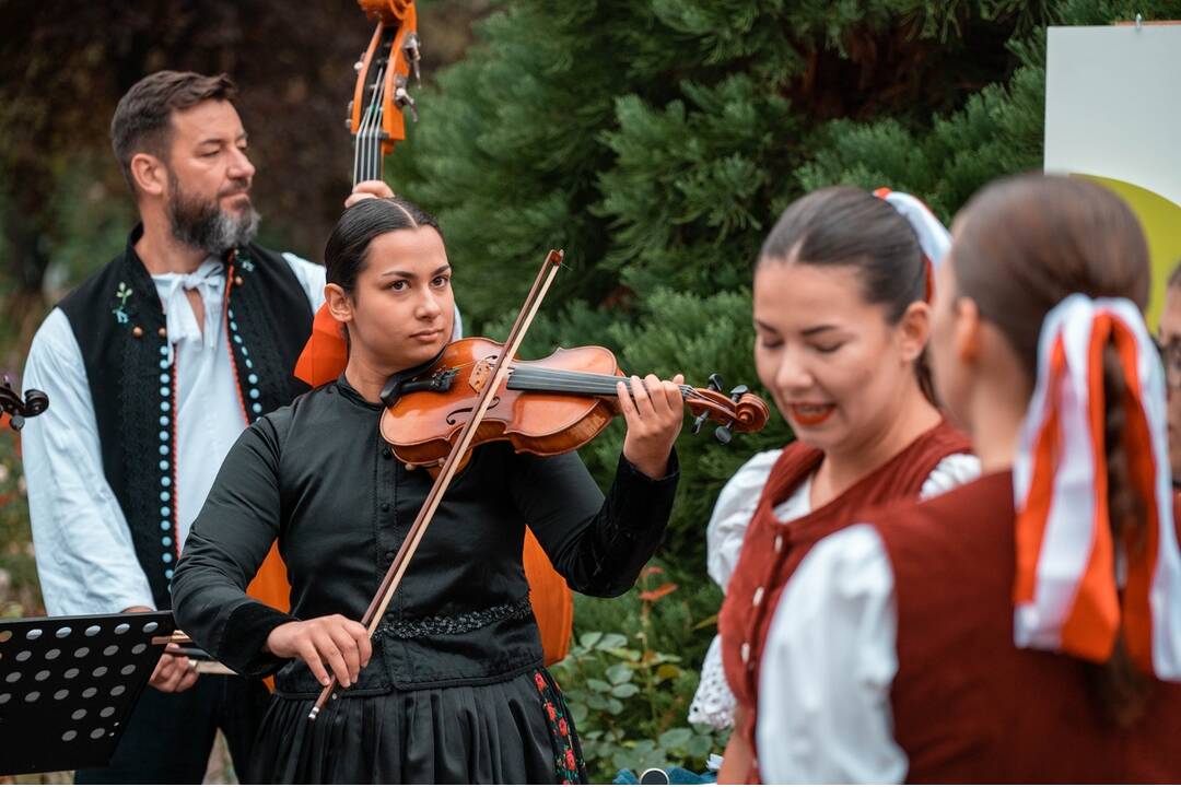 FOTO: Festival Medokvet sa blíži. Takto to tam vyzeralo vlani, foto 5