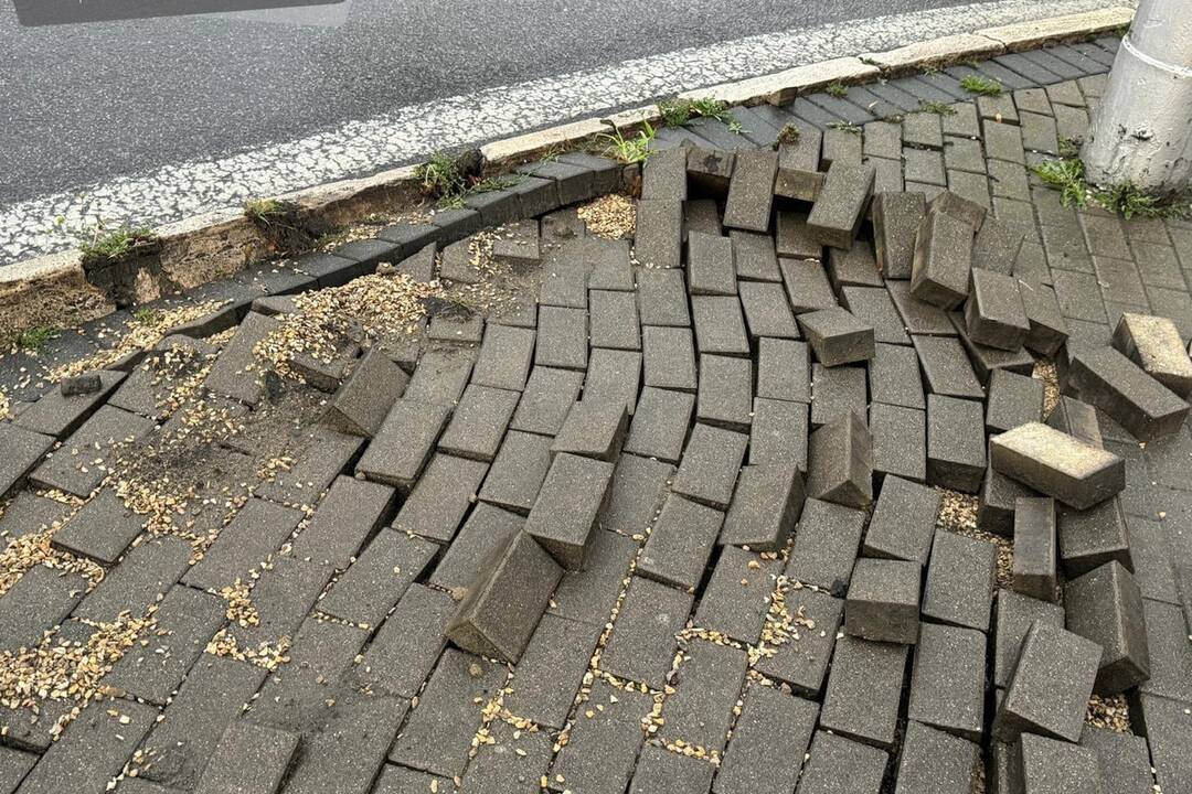 FOTO: V Nitre a okolí vyčíňajú silné búrky, lámu stromy a vytopené sú aj ulice, foto 16