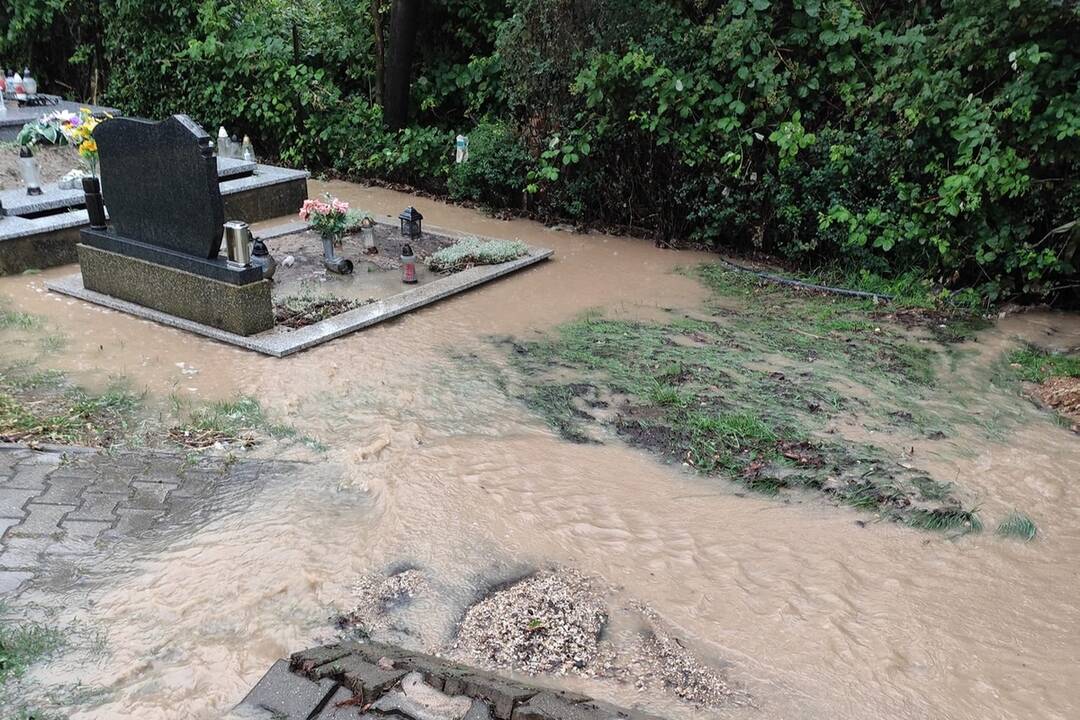 FOTO: Búrka, ktorá sa v stredu prehnala Nitrou a okolím, lámala aj stromy , foto 4