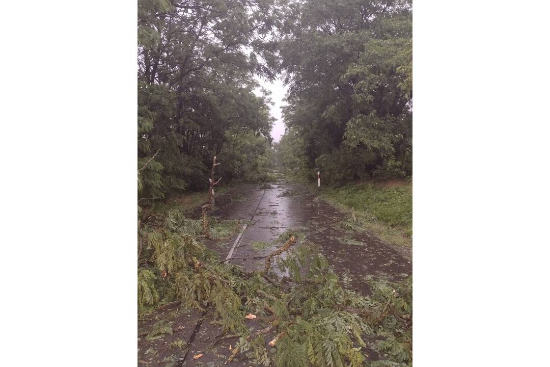 FOTO: Búrka, ktorá sa v stredu prehnala Nitrou a okolím, lámala aj stromy , foto 2