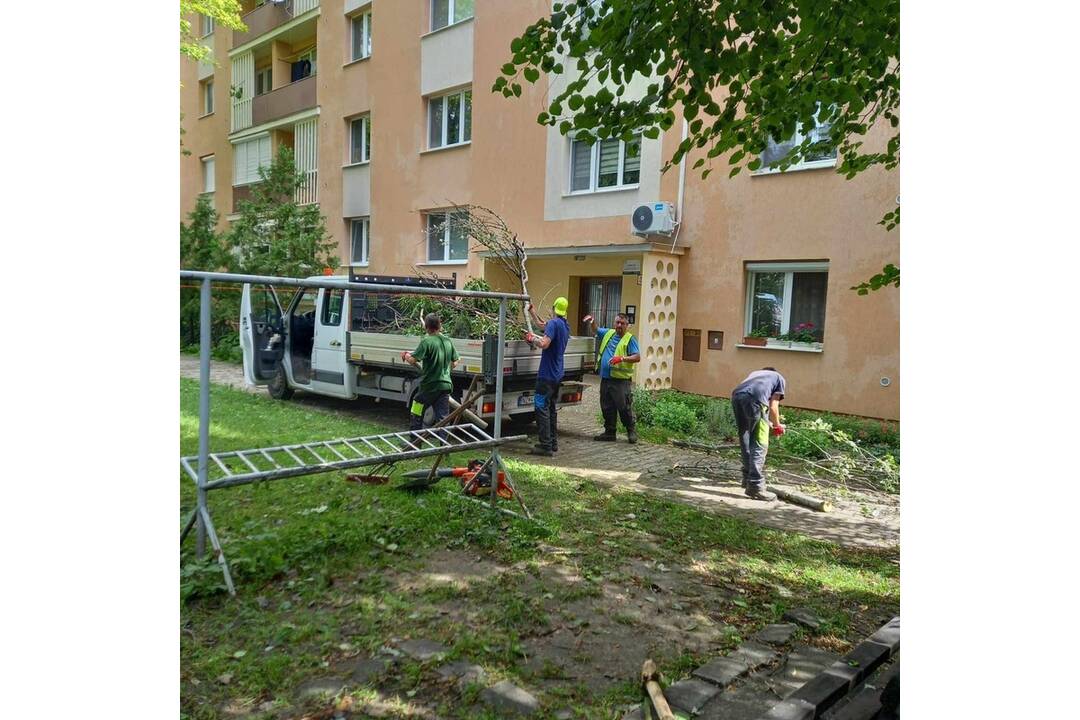 FOTO: V Nových Zámkoch už odstraňujú škody aj popadané stromy a konáre, foto 7