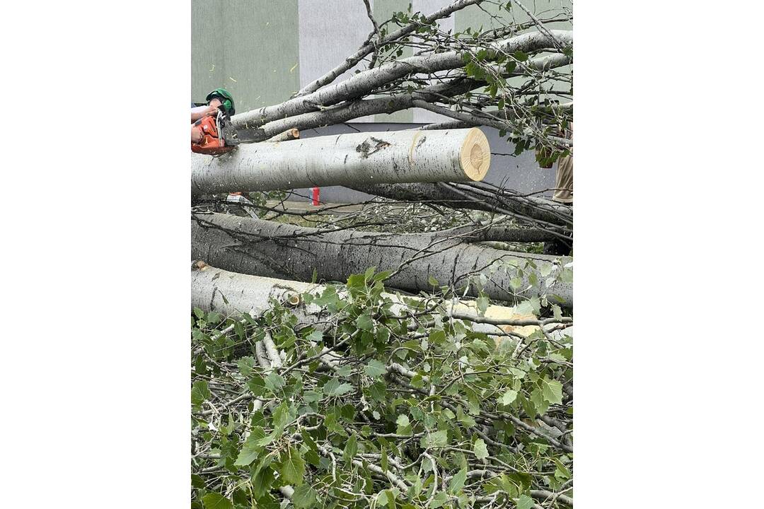 FOTO: V Nových Zámkoch už odstraňujú škody aj popadané stromy a konáre, foto 11