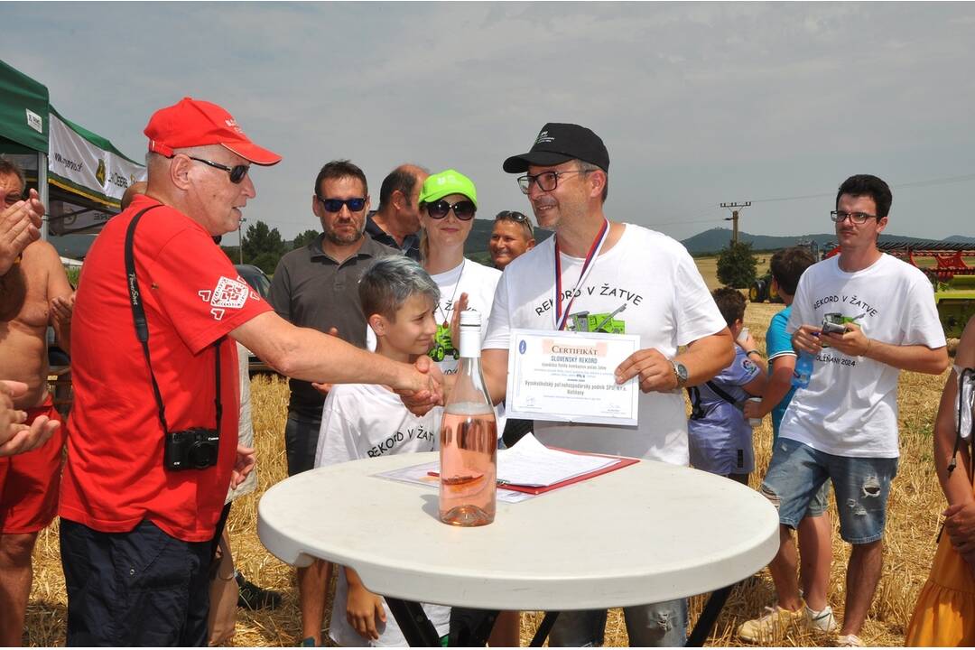 FOTO: Vysokoškolský podnik SPU v Nitre vytvoril slovenský rekord v žatí pšenice, foto 4