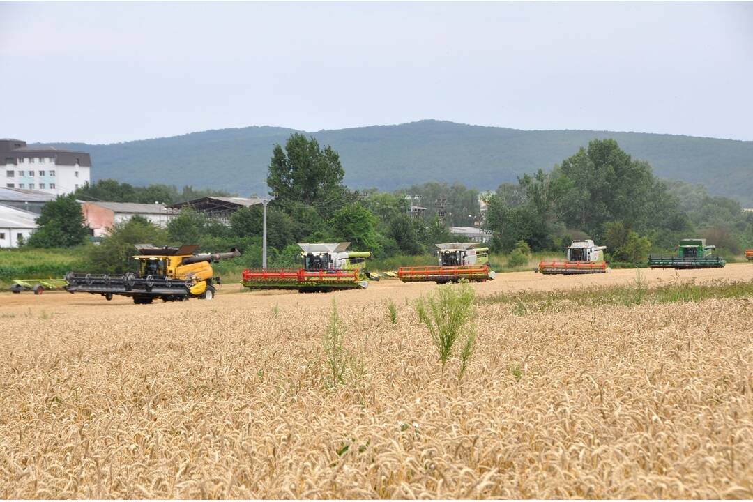 FOTO: Vysokoškolský podnik SPU v Nitre vytvoril slovenský rekord v žatí pšenice, foto 13