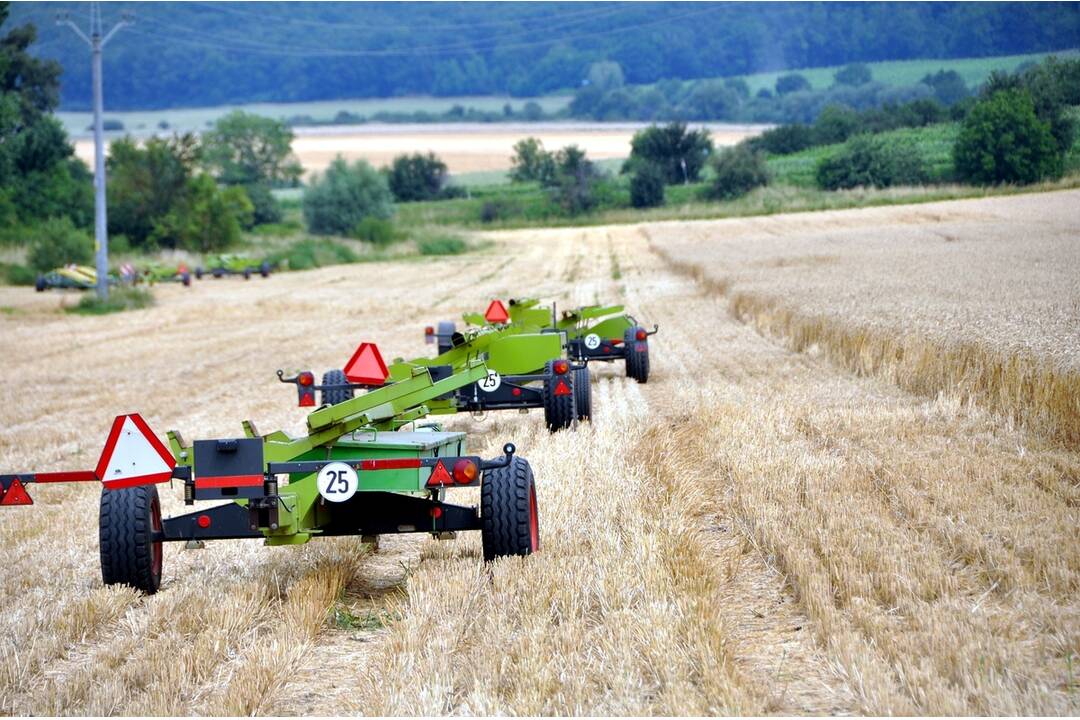 FOTO: Vysokoškolský podnik SPU v Nitre vytvoril slovenský rekord v žatí pšenice, foto 27