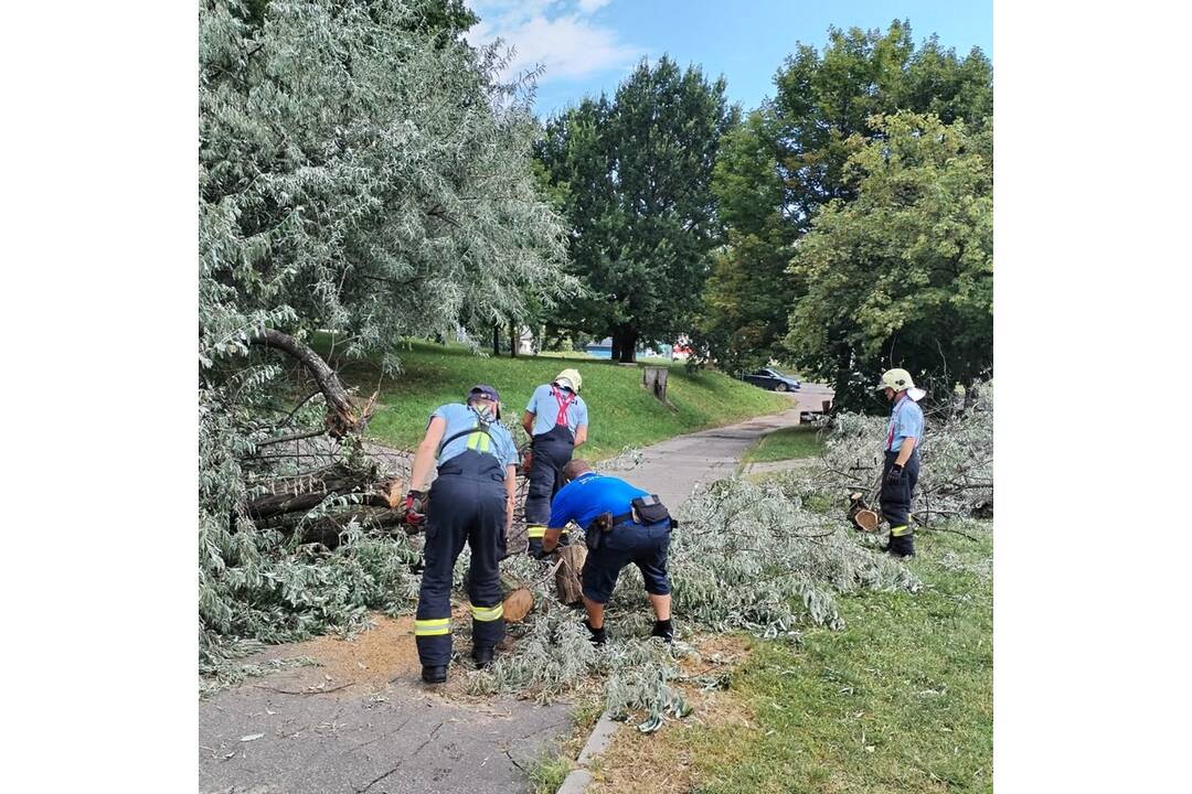 FOTO: Búrka lámala v Nitre stromy, mnohé spadli aj pred vchody do panelákov, foto 11