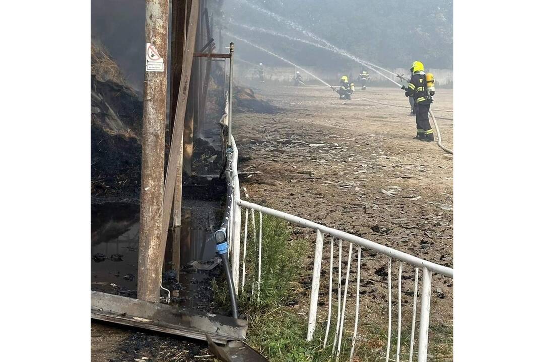 FOTO: Stajňu strednej školy v Šali zachvátili plamene, horí slama pod prístreškom, foto 5