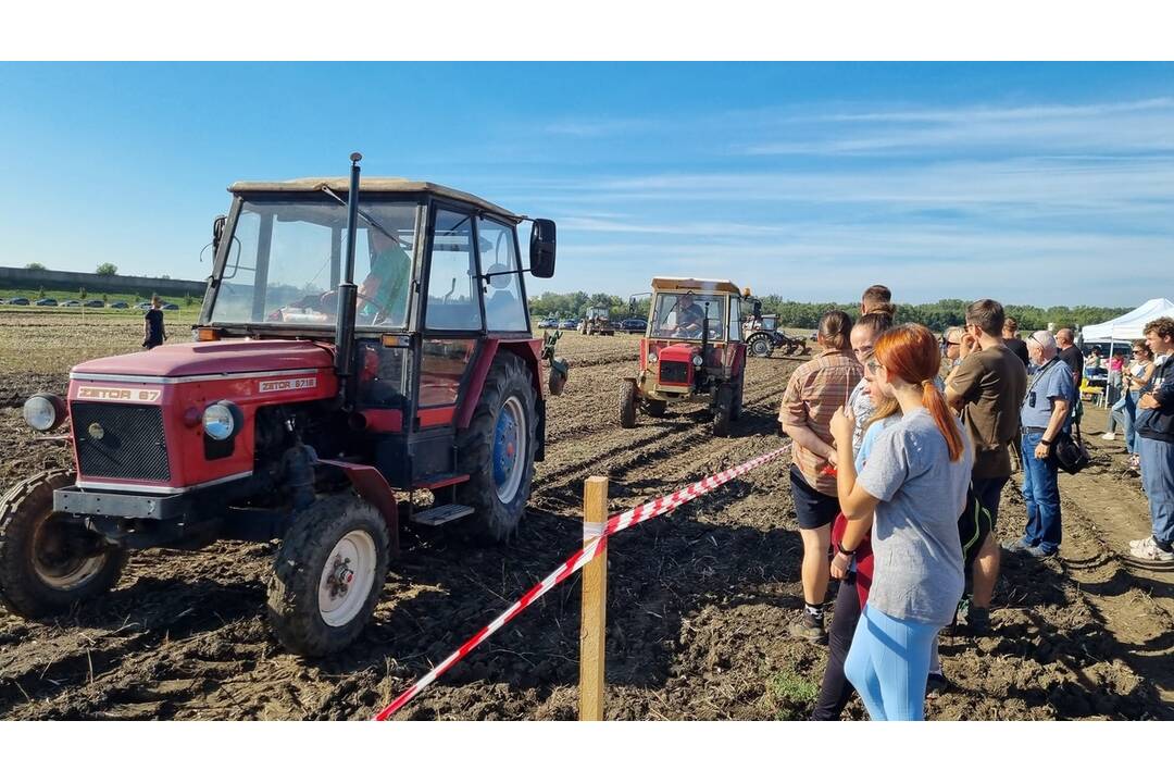 FOTO: V Šali sa konali majstrovstvá v orbe. Na poli sa hemžili traktory a takto to vyzeralo , foto 1