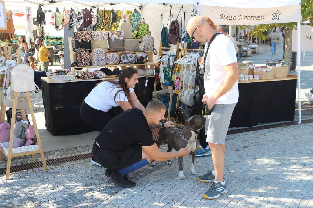 FOTO: Ohliadnite sa za 13. ročníkom Nitrianskeho rínku, foto 44