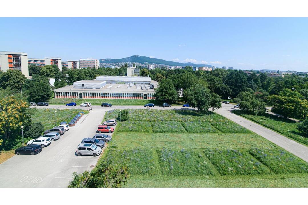 FOTO: Víťazom súťaže Park roka je námestie obce Vlčany, ocenená bola aj záhrada SPU v Nitre, foto 16