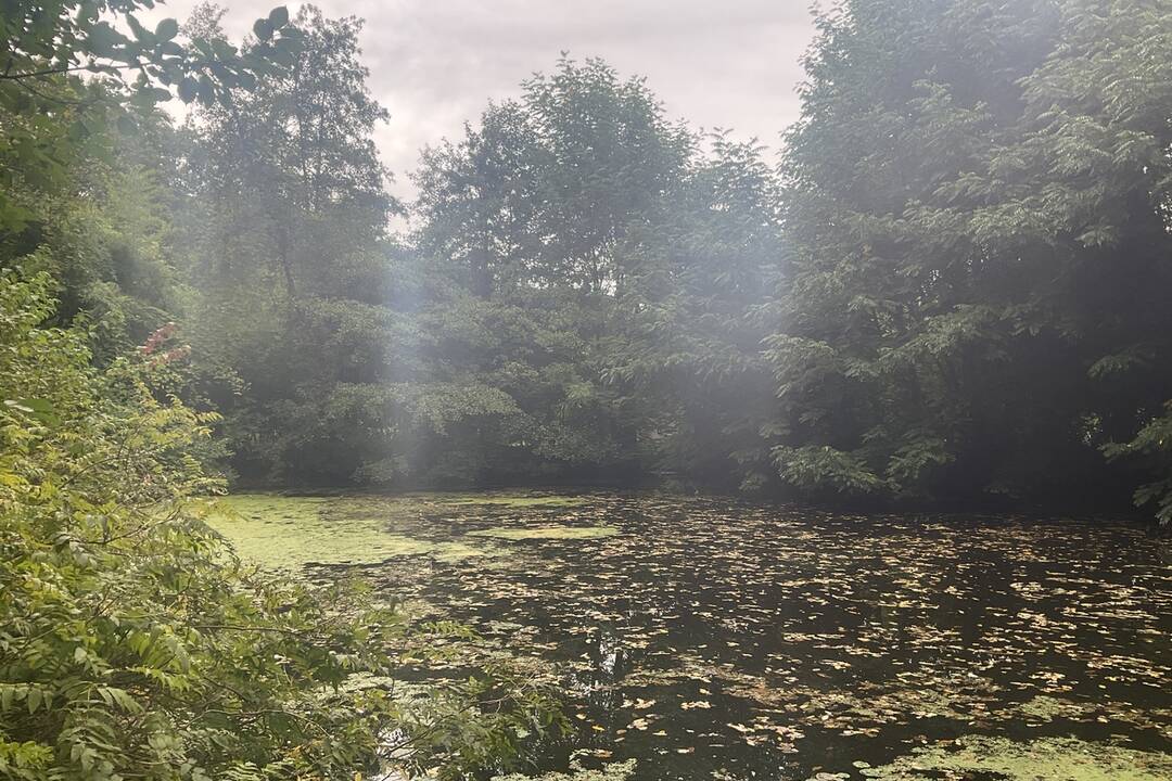 FOTO: Pozrite si jesenné zábery z arboréta v Tesárskych Mlyňanoch, foto 4