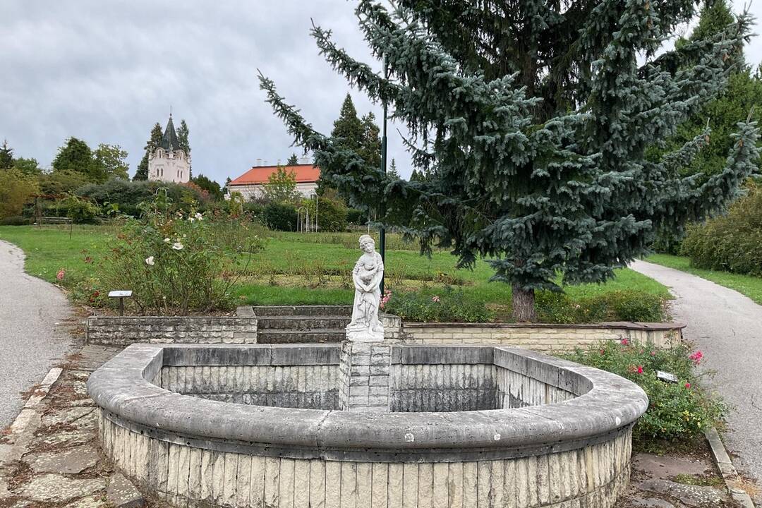 FOTO: Pozrite si jesenné zábery z arboréta v Tesárskych Mlyňanoch, foto 31