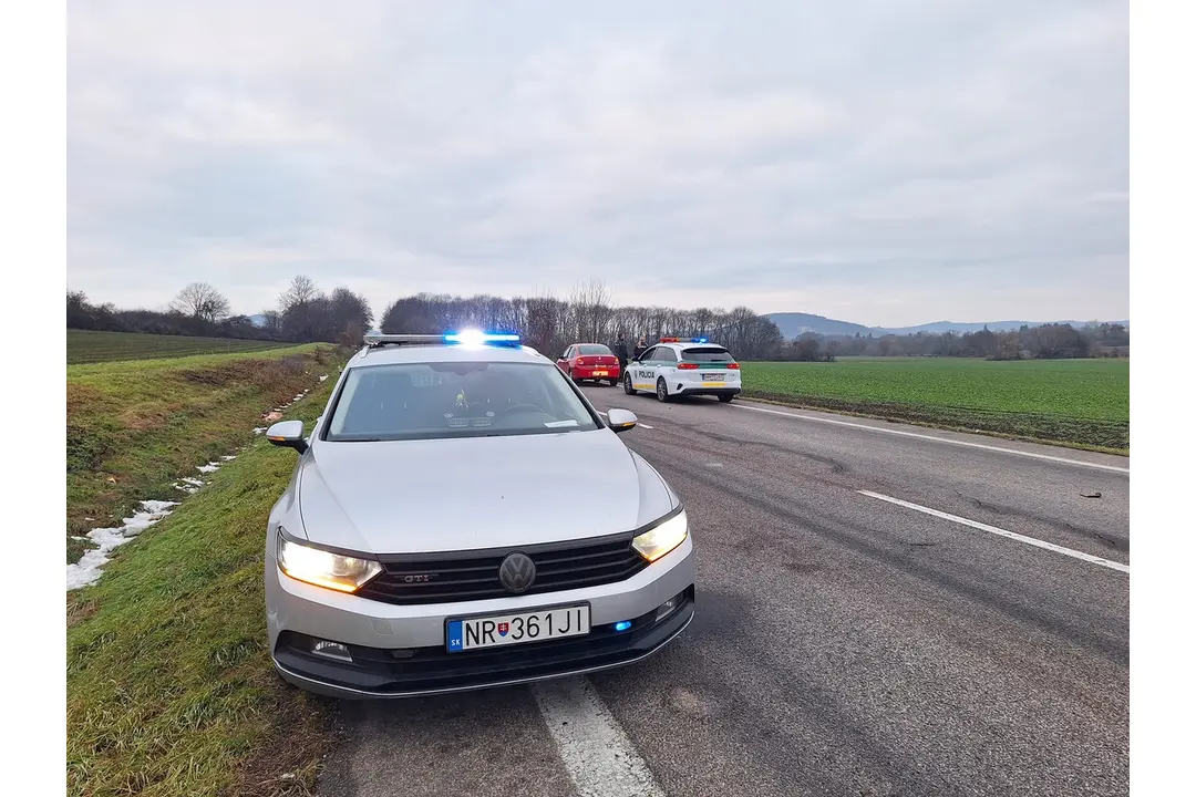 FOTO: Na ceste pri Jelenci skončil pod kolesami auta kríženec retrievera, zrážku neprežil , foto 3