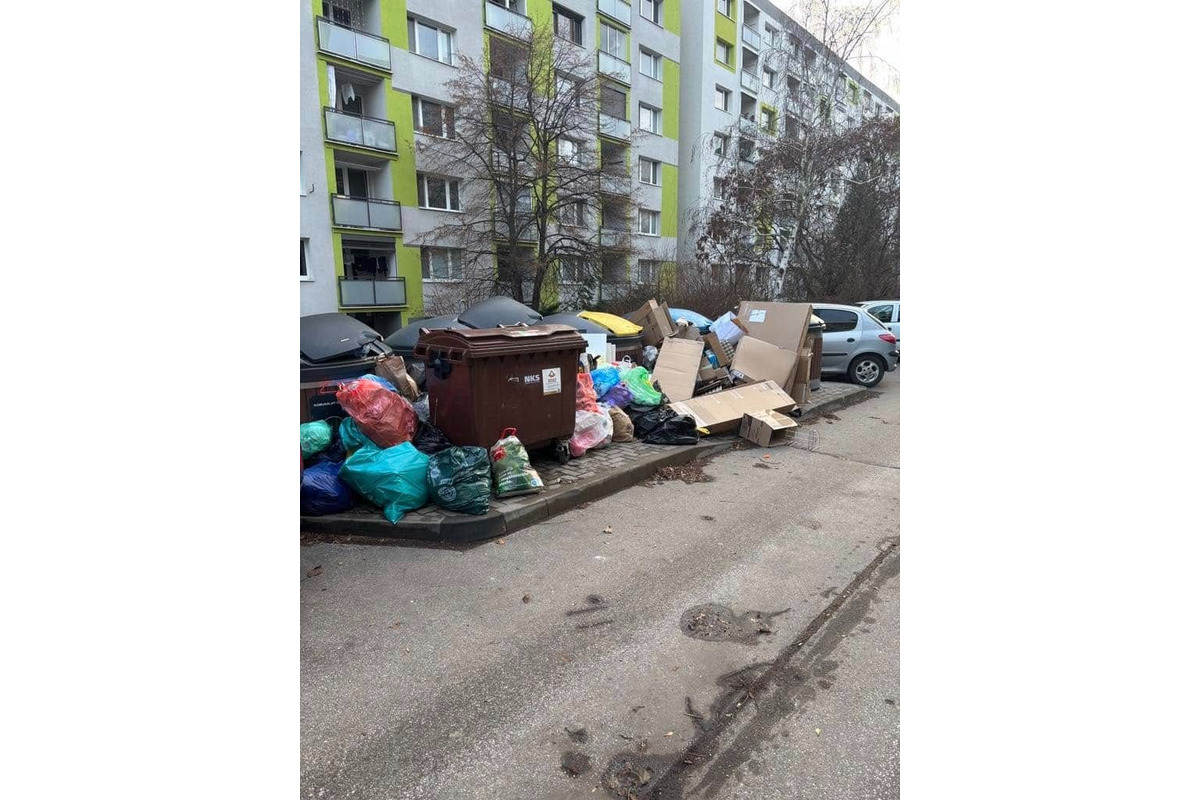 FOTO: Preplnené kontajnery a smeti pohádzané všade okolo rozhnevali obyvateľov nitrianskych Dielov, foto 1