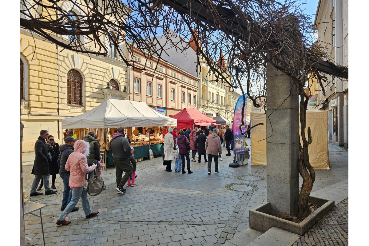 FOTO: Nitrianske fašiangy 2025 , foto 3