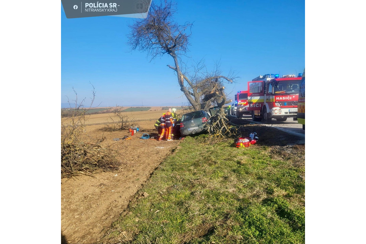 FOTO: tragická nehoda v Topoľčianskom okrese 3. 3. 2025, foto 1